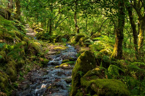 Canyoning dans le Parc national de Peneda-Gerês