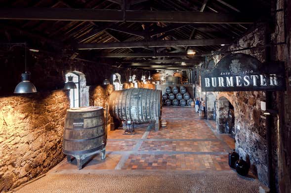 Visite de la cave à vin de Burmester