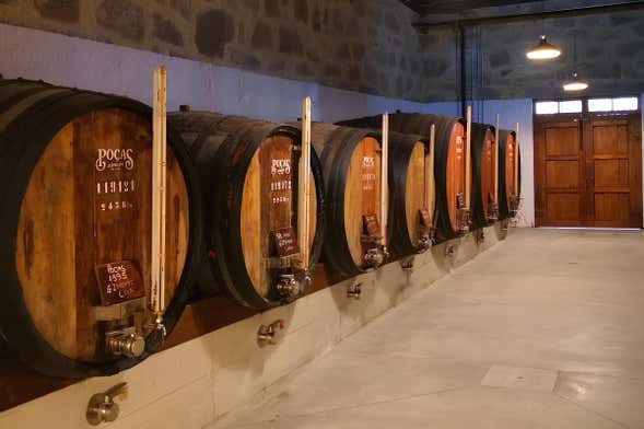 Visite des caves Poças