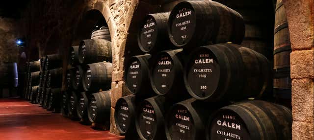 Visite des caves Cálem